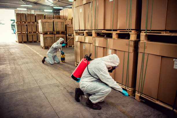 Best Flea Control Services  in Sharon, TN