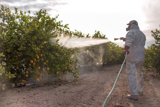 Professional Pest Control in Sharon, TN